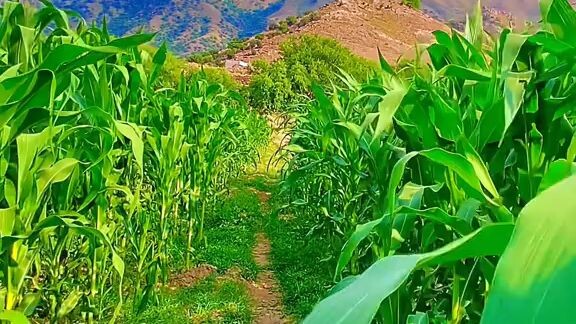 so beautiful village