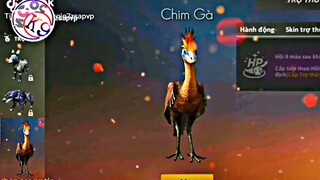 Tik Tok Free Fire | Sẽ Ra Sao Khi Pet Chim Gà Gia Nhập Free Fire | Ngọc K9