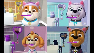 Vui Chơi Cùng Những Chú Chó Cứu Hộ - PAW Patrol Mighty Pups A Day In Adventure Bay Ep87