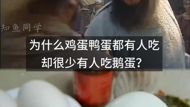 ทำไมคนถึงกินไข่ไก่กับไข่เป็ด แต่แทบไม่มีใครกินไข่ห่านเลย?