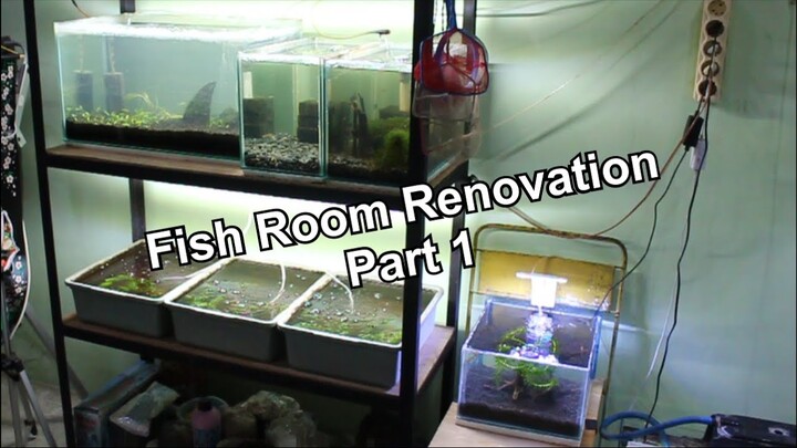 Fish Room Renovation : The Beginning