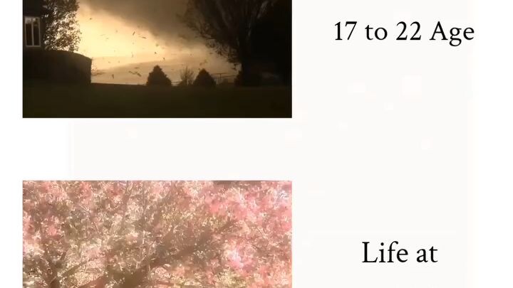 life is changing so cherish every moment 🦋