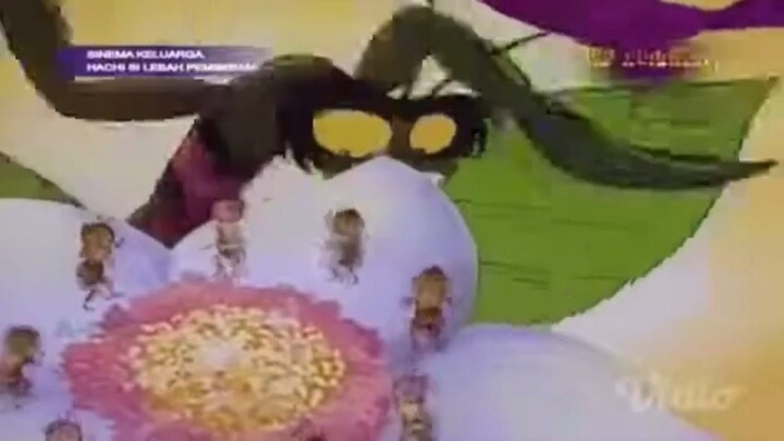 Hacchi si lebah pemberani pt 13