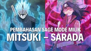 Kali ini kita membahas Sage Mode milik Mitsuki dan Sarada