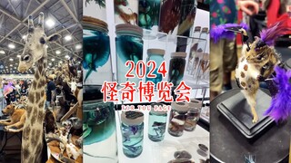 来看「玩物丧志」☠️