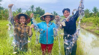 Giăng Lưới Cá Sặc Sau Cơn Mưa • Bữa Cơm Chiều Ấm Lòng Người Xa Quê | NĐMT#267