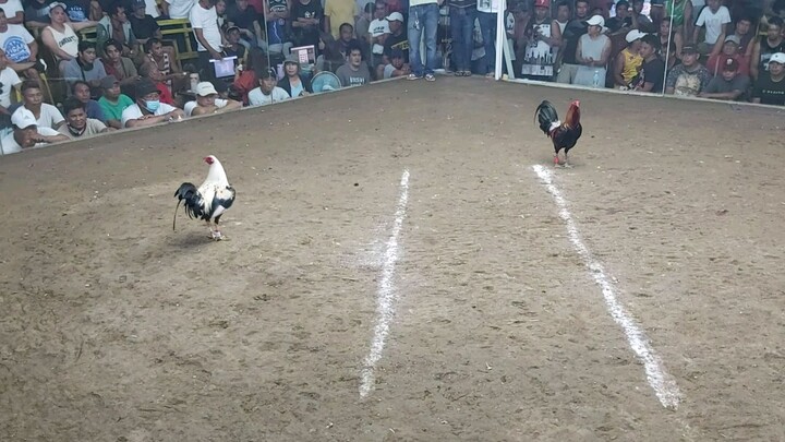 MCCA 3Hits Ulutan 11/22 1st Fyt