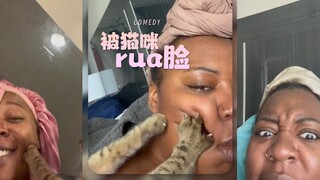 被猫咪rua脸的五个心理阶段‼️