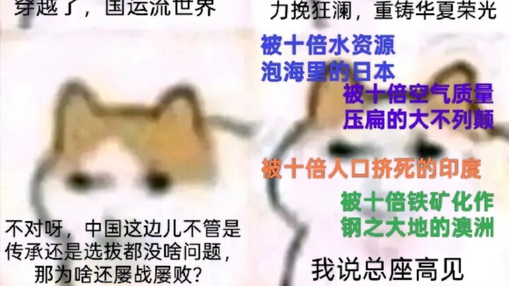 磁场多元宇宙•猫龙大擂台