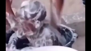 Pada saat ini, Hei Ge teringat masa kecilnya yang buruk