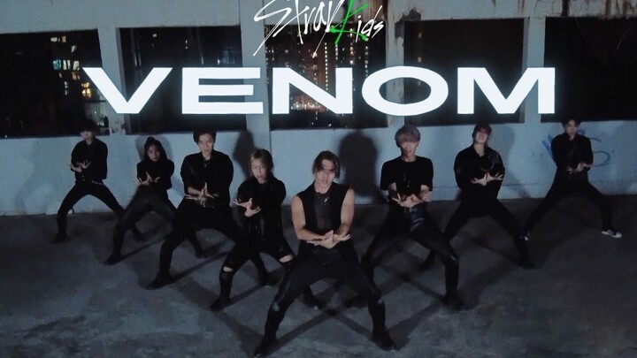 【Stray Kids】رقصة محاكاة لأغنية VENOM من الألبوم الجديد على شكل شبكة العنكبوت