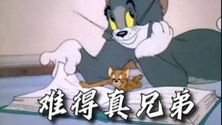 【Mèo và Chuột】“Hiếm lắm mới có vài người anh em thật sự!”