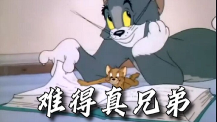 【แมวกับหนู】“นานๆ ทีจะมีพี่น้องแท้ๆ สักไม่กี่คน!”