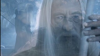 سيد الخواتم | سيد الخواتم | الحرق الملحمي | أراجورن | الإمبراطور البشري | مزيج شخصي | الإرث البشري |