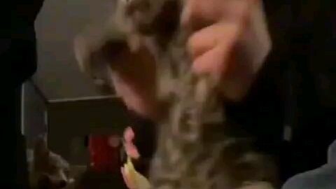 I can't stop watching lol credits to shutter