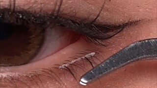 Is there anyone who still doesn't know where to apply lower lash extensions?