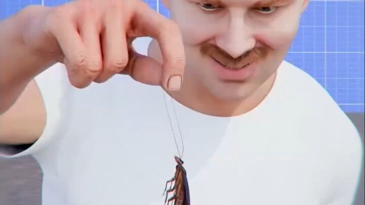 What Happens When You Bury a Cockroach in the Soil?