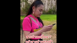 สายป่านอยู่ไหน สายป่านเข้าไปในป่ากลัวสายป่านหลงป่า