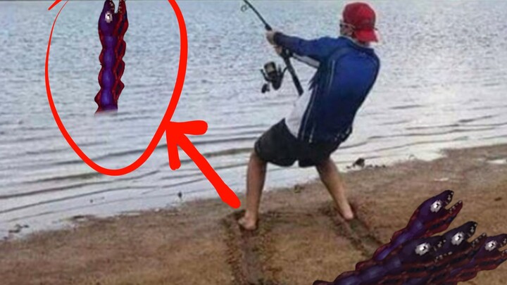 Khoảnh khắc câu cá 🎣 mà Terra yêu thích nhất~~
