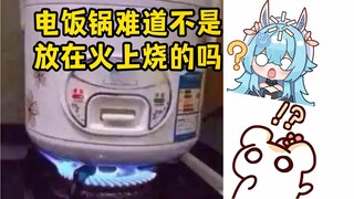 电饭锅放火上烧有什么问题吗？