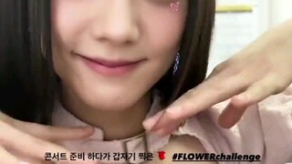 #FLOWERchallenge