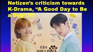 Secrets about Criticism towards K-drama, "A Good Day to Be a dog"...