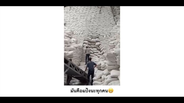 มันคือแป้งนะทุกคน