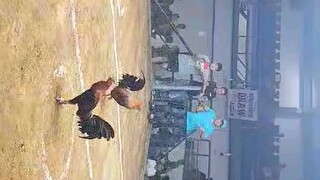 bot4 1st fight win