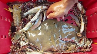 Ra biển lớn, bắt cá đuối dơi ''Nấu Canh Chua'' ăn cơm trên ghe | Ngư Dân Miền Tây