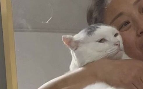 Turns out cats also want to be an only child—jealousy can completely change a cat’s demeanor...