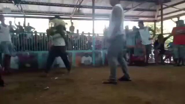 2 hits ulutan boston roundheadx white claret