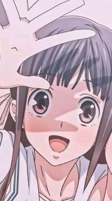 fruits basket tohru