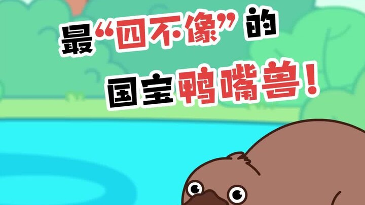 可达鸭 的灵感来源不是鸭嘴兽吧？