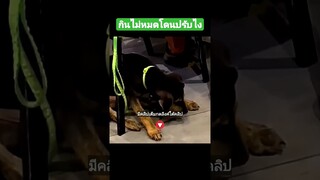 กินไม่หมดโดนปรับไง