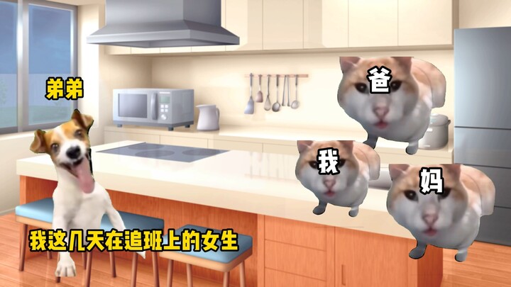 [Cat Meme] Brother Sangye’s little brother is in love, but Mom and Dad just won’t believe it…