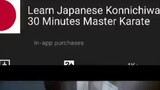Learning Japanese in 30 Minutes