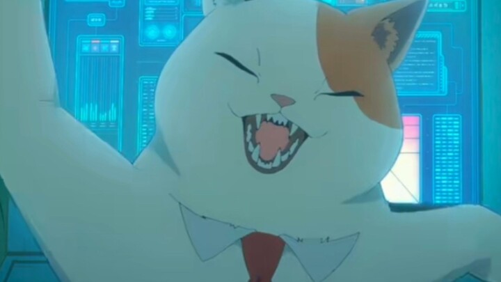 lucu banget kucing alien yang satu ini [AMV]