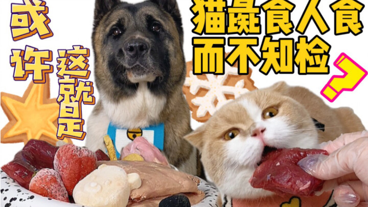 Kucing: Tapi tetap aja, aku makan sedikit...