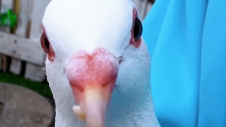 What are you looking at?