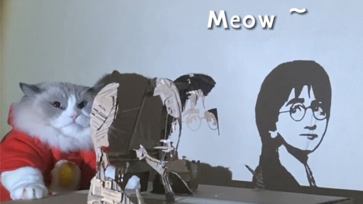 Bisakah kamu menemukan rahasia yang tersembunyi di balik cahaya dan bayangan, kucing?