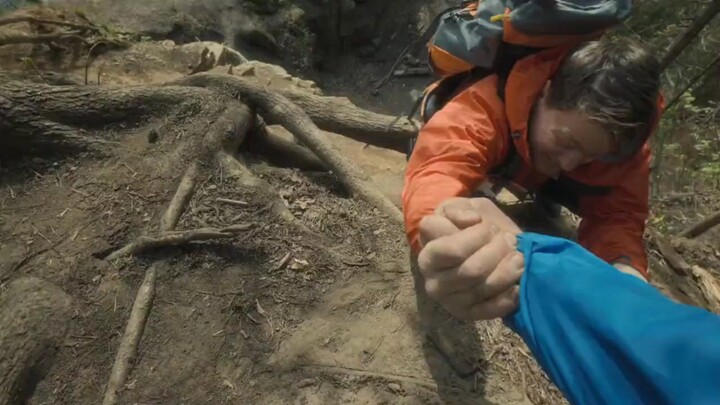 Iklan rekrutmen angsa besar