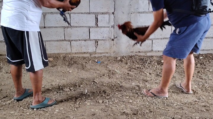 PC VS SC