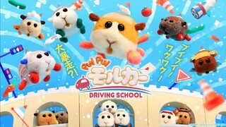 Hipsoft Pui Pui Molcar: Driving School Trailer