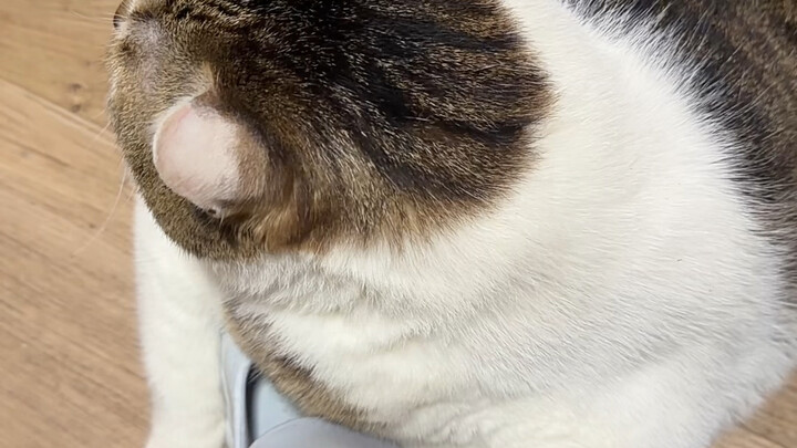 I have to go to work—can you please not stop me?