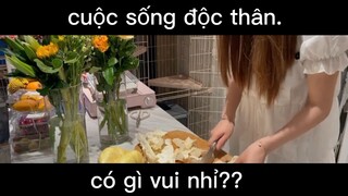 độc thân vui tính tự lập#dailyvlog#life#chill