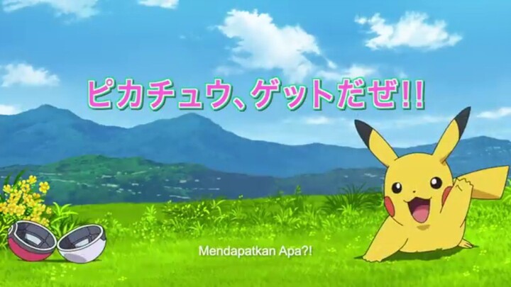 pokemon journey : the series | aku menangkap Pikachu! | pokemon Indonesia (Dub indo)