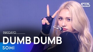 SOMI(전소미)- DUMB DUMB @인기가요 inkigayo 20210815