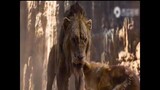 Review phim : Vua sư tử