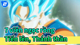 [7 viên ngọc rồng] Vegeta: Tiến lên, Thánh thần_2