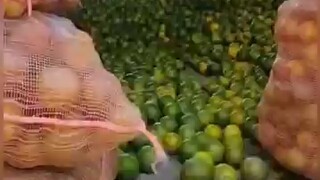 还有这种操作？
